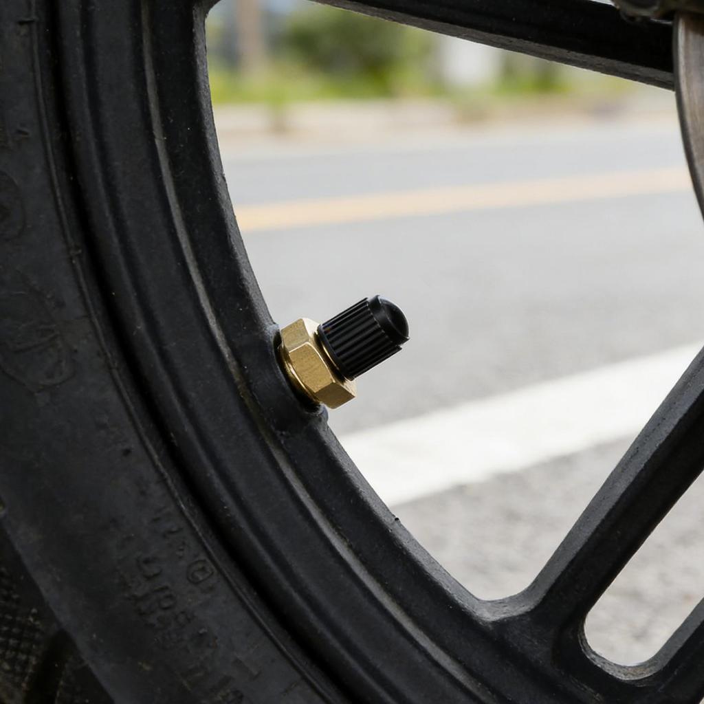 1/2pcs Professional 1/4 NPT 1/8 NPT M10 Car Tire Valve Core Air Compressor Tanks Fill Valve Anti-Corrosion Schrader Valves