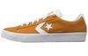 Vulc Pro Suede Low in Pelle 'Golden Sundial' A04152C