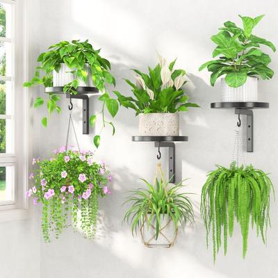 Wall Mounted Floating Flower Display Stand Space Saving Plant Holders Plant Hangers  Indoor Outdoor
