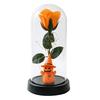 Halloween Preserved Rose LED Light Up Decoration for Home Party Tabletop Decor
