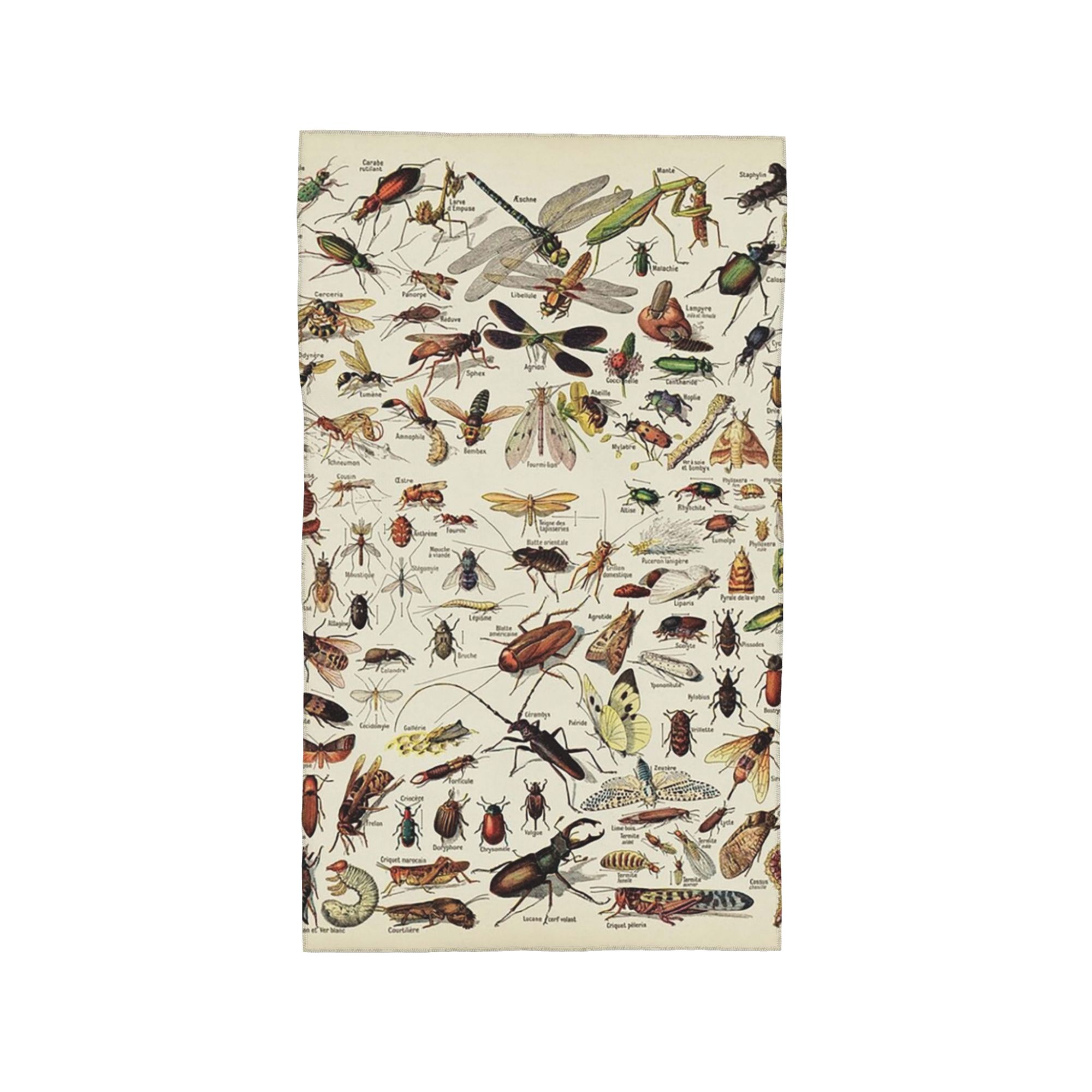 

Insects Chart. Scientific Illustration, text in french Soft Face Towel Quick Dry Pool Bath Cotton Towels Breathable W40*H60(CM)