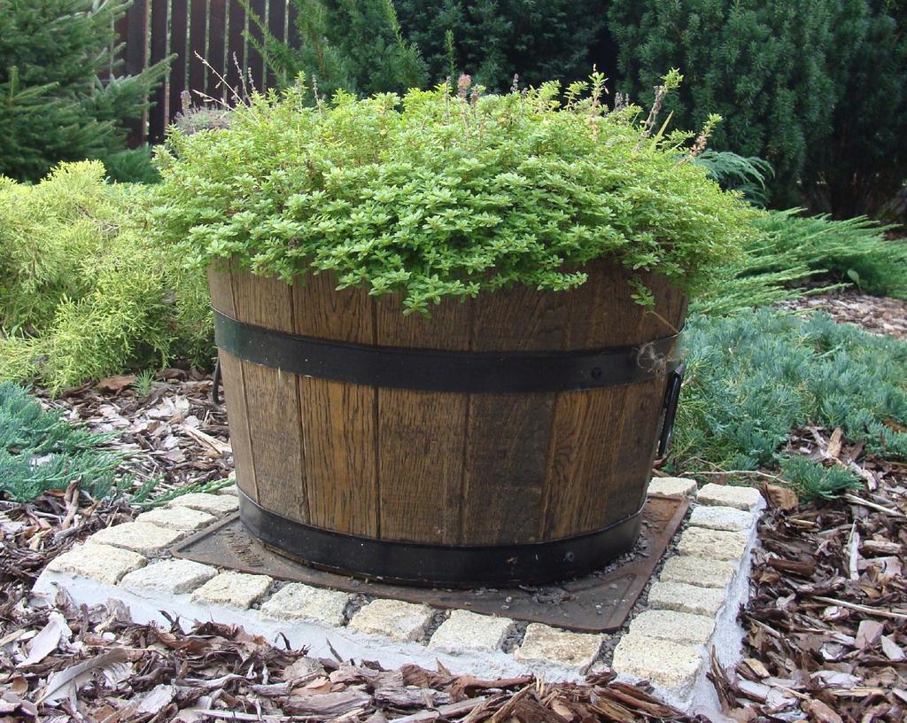 Oak Flowerpot 35XH21 Low K. OAK