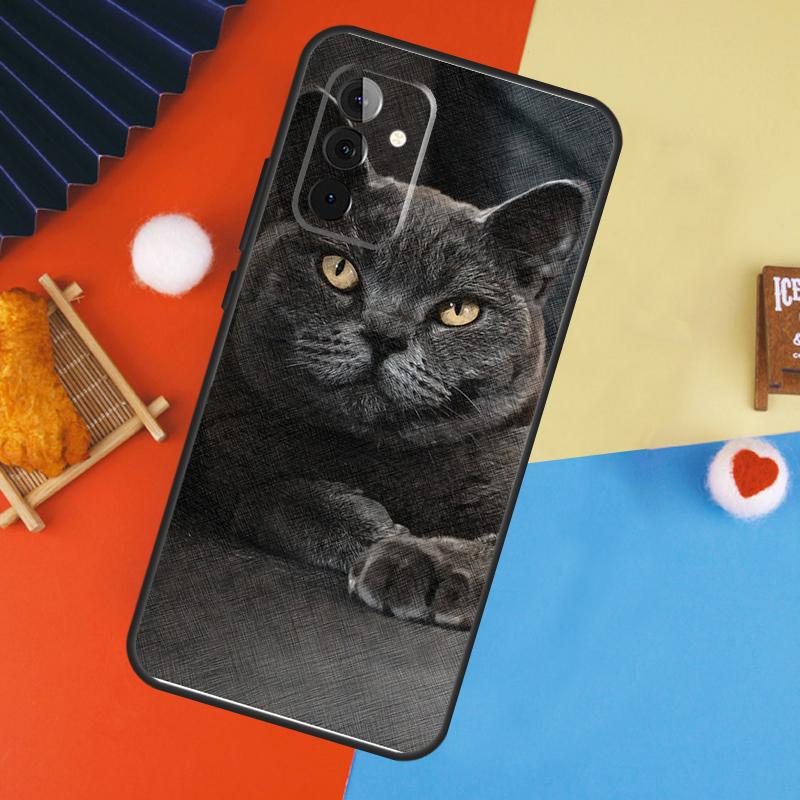 British Shorthair Cat Case For Samsung Galaxy A56 A36 A16 A06 A13 A33 A53 A52 A32 A12 A54 A34 A14 A15 A35 A55 A17