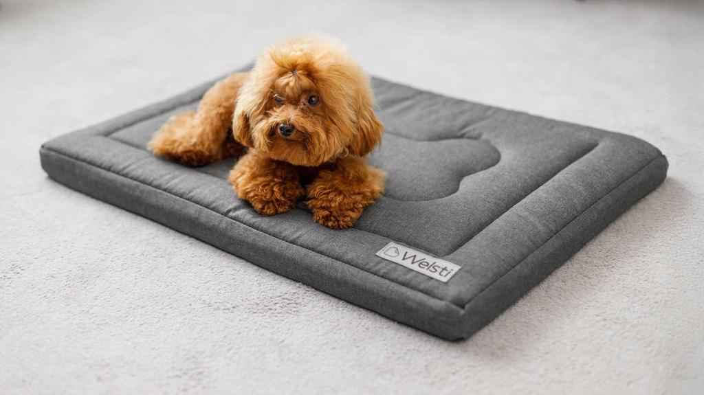Hundebett, Hundematratze, Welsti Dunkelgrau M 70X50