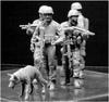 Master Box American 4 Active Infantry Military Dog Afghan War Search Unit Plastic Model MB35154 1/35 +