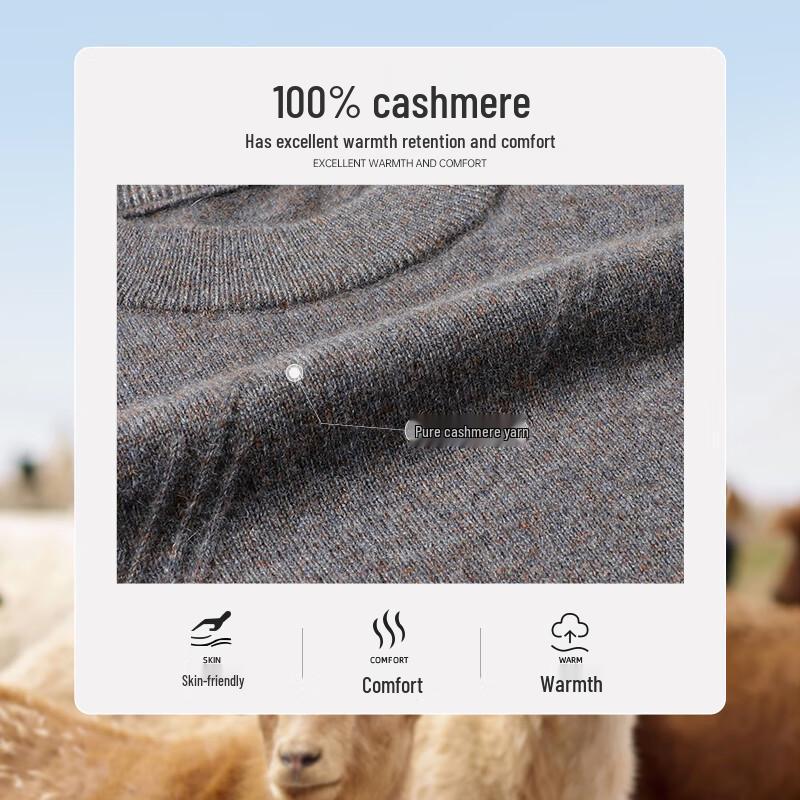 SHANSHAN Men's 100% Cashmere Round Neck Sweater