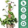 Detachable Moss Pole Plants Climbing Support Extension Palm Vines Stick Plants Creepers To Grow Upwards Gardening Tools