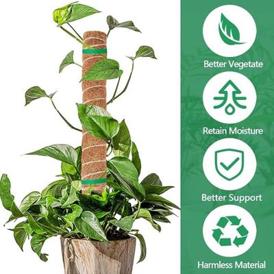 Abnehmbare Moosstange Pflanzen Kletterhilfe Verlängerung Palmenranken Stielpflanzen Kletterpflanzen zum Hochwachsen Gartengeräte