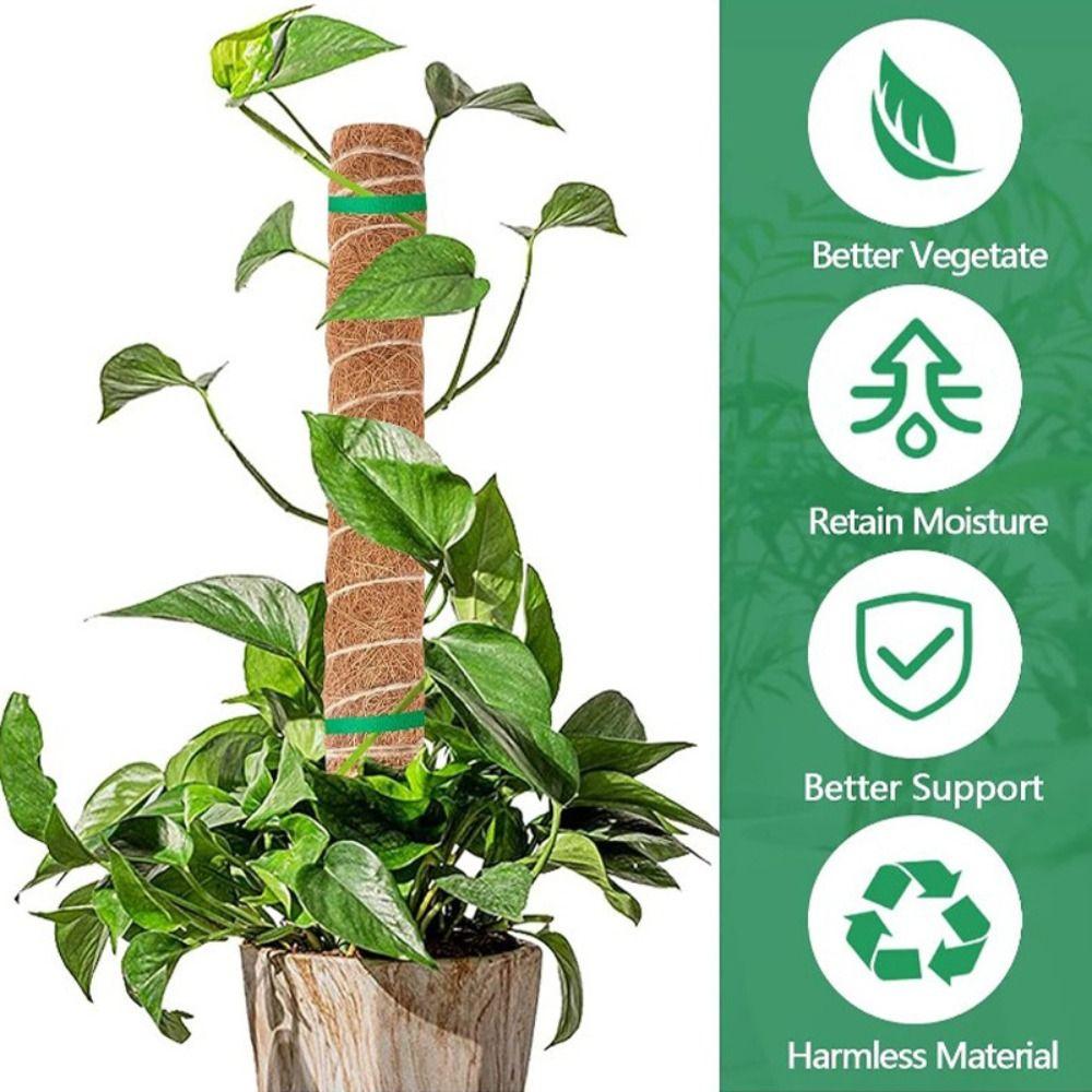 Detachable Moss Pole Plants Climbing Support Extension Palm Vines Stick Plants Creepers to Grow Upwards Gardening Tools