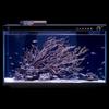 XiaoMijia Smart Fish Tank
