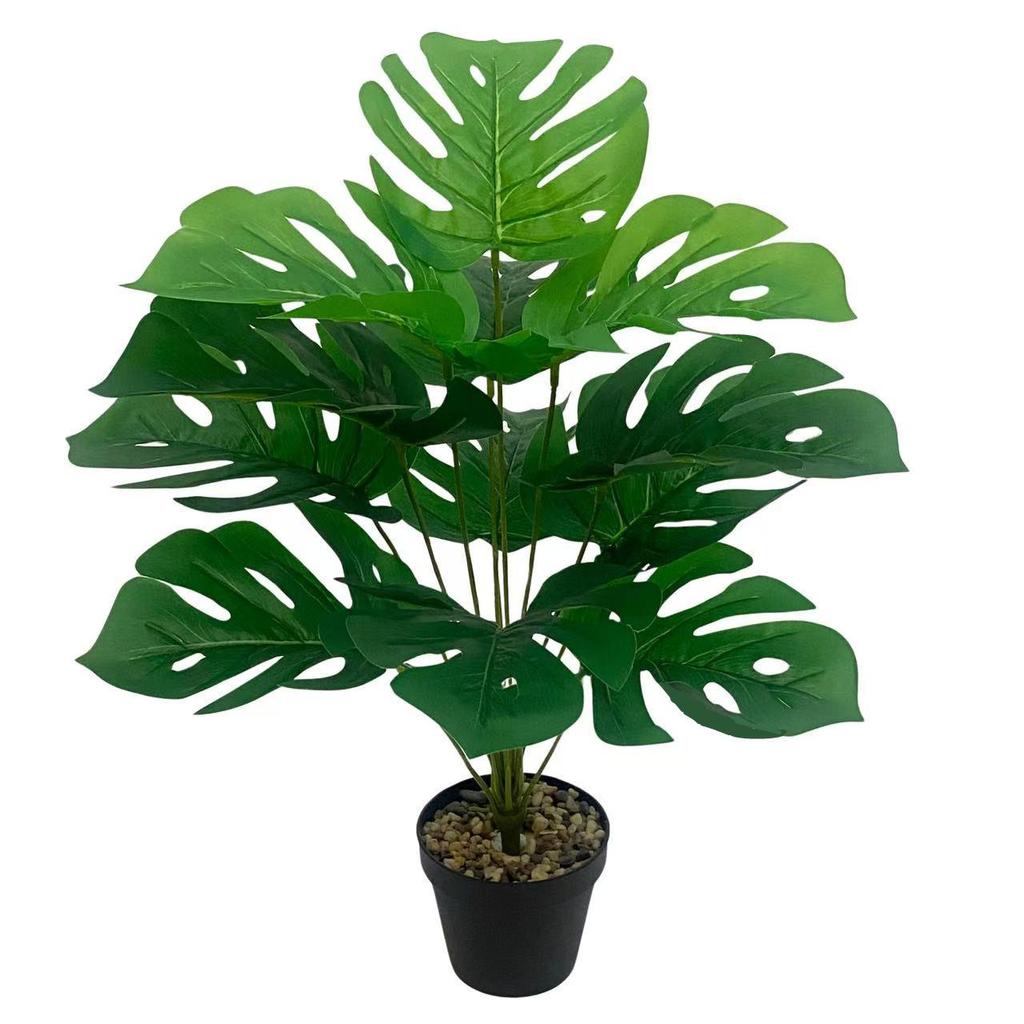 Nordic Style Variegated Monstera: Potted Plant for Home & Garden Decor