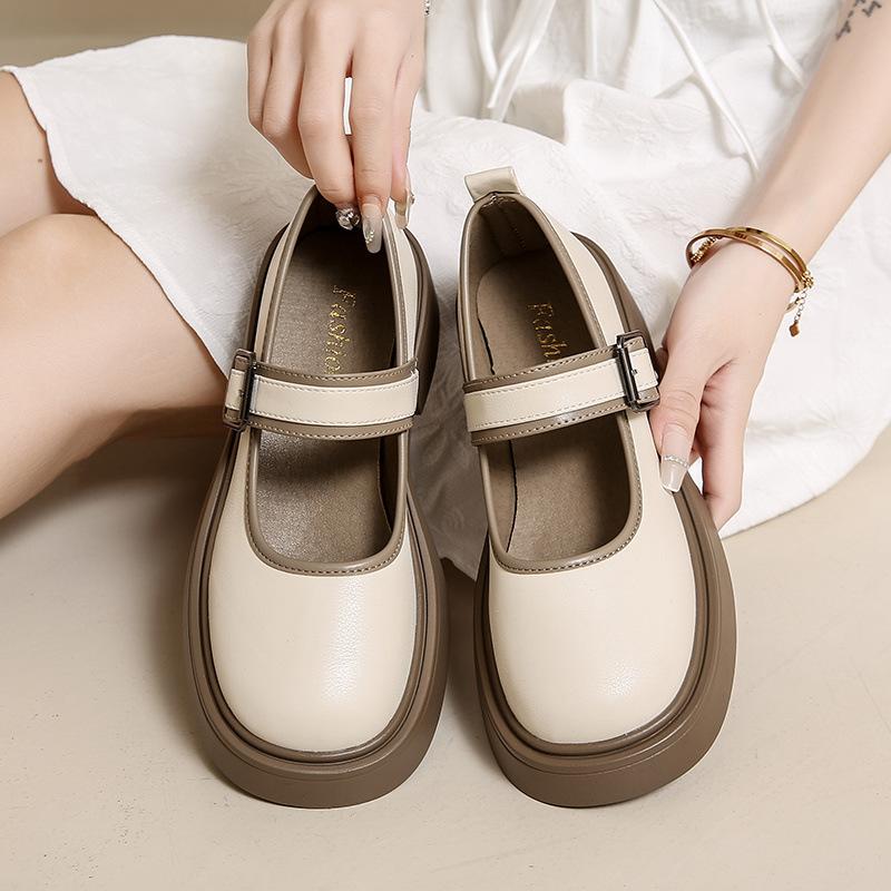 Fashion French Mary Jane Single Shoes Women'S Spring Versatile Platform Heightening Skirt Small Leather Shoes