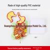 Human Digestive System Model: Stomach, Large Intestine, Cecum, Rectum, Duodenum.