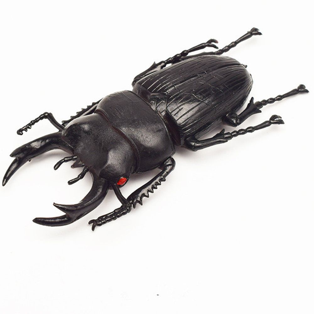 

Детские фигурки жуков Имитация жука Симуляция жука Игрушки жуки Специальная реалистичная модель Модель насекомого 5