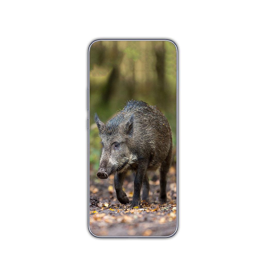 Animal Wild Boar Pig Phone Casing Cover for Motorola Moto G13 G14 G53 G54 G62 G72 G82 G84 E13 E20 G42 G32 G23 G22 Soft Case
