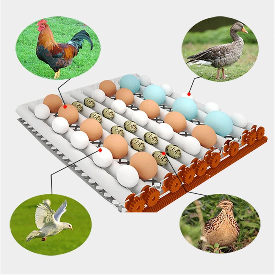 16/36 Egg Incubator Automatic Integrated Egg Candler, Temperature Control Egg Hatcher for Hatching Chicken Duck Quail Eggs