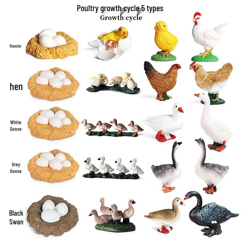 Children's Animal Simulation Toy Set: Eagle, Falcon, Secretary Bird, Owl Figurines