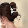 Korean Style Heart Shark Clip Transparent Resin Shark Clip Gift Love Hair Claw  Daily