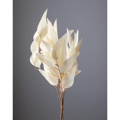 Ohchinouen Daichi Farm Dried Flower Willow Eucalyptus 1 Bunch 25g Approx. L55~59cm DO016100-011