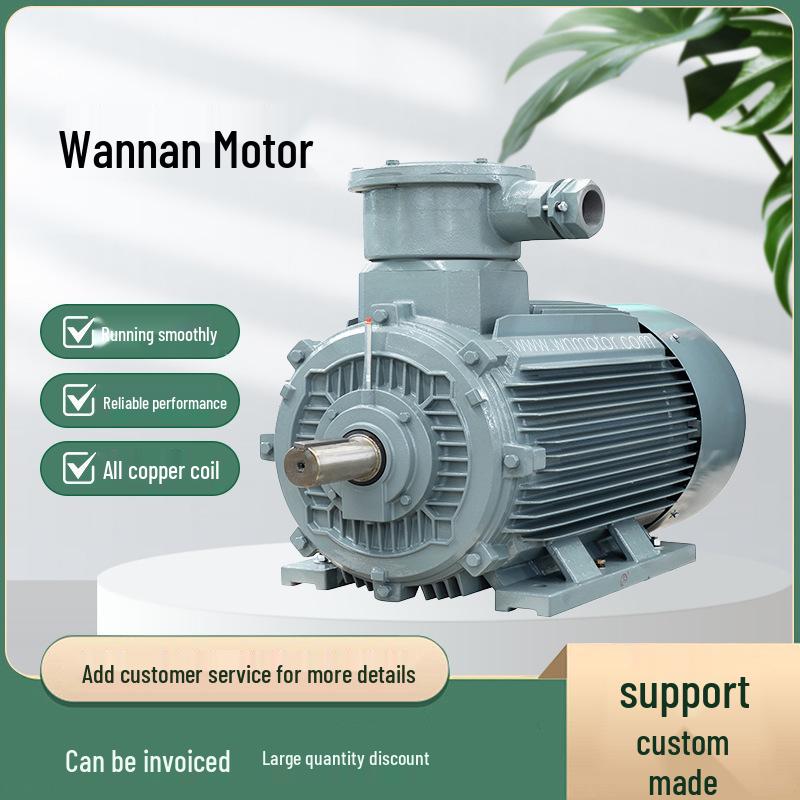Anhui Wannan Explosion-Proof YBX4 Series Full Copper Coil Three-Phase Motor