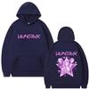 KPop Demon Hunters Hoodie Rumi Mira Zoey Graphic Sweatshirt Men Women Clothing Oversized Hoodies Male Vintage Pullover