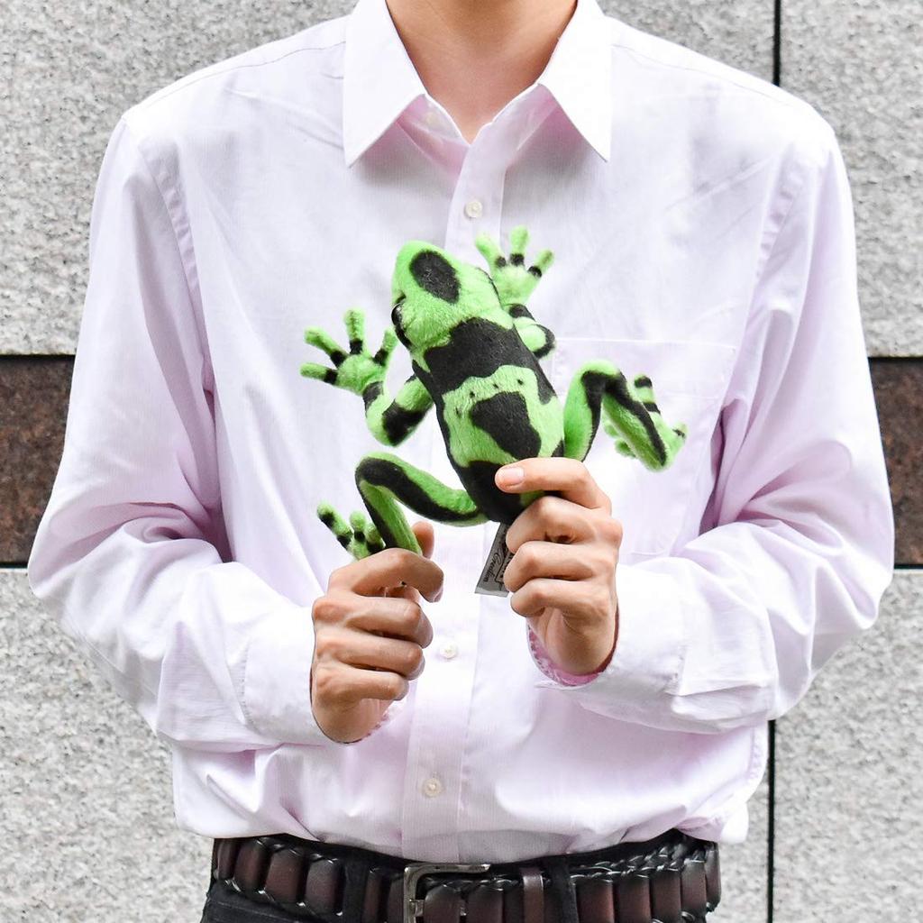 Green poison dart frog No.5224
