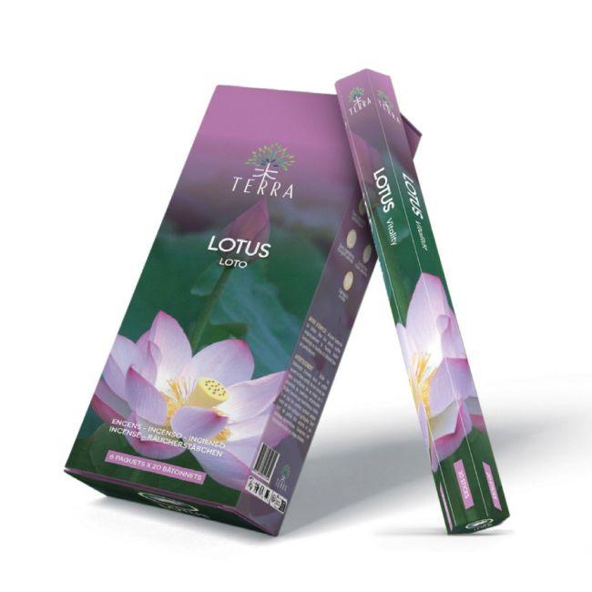 Terra lotus kadzidełka 20 szt.