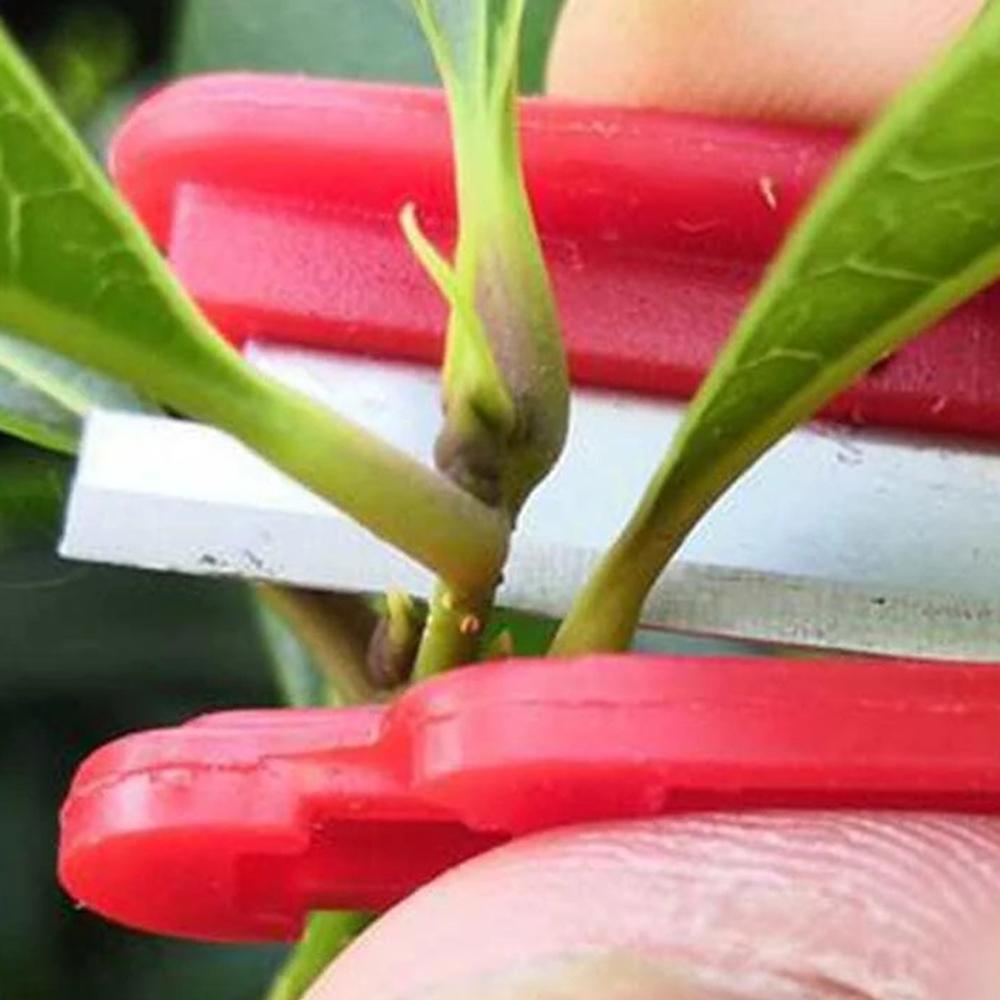 Nóż do zbierania owoców i warzyw, nóż do szczypania, nóż na kciuk do zbierania warzyw i owoców, warzywa, owoce