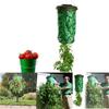 Sturdy Hanging Planter Bag For Tomatoes Strawberries Balcony And Home Gardening