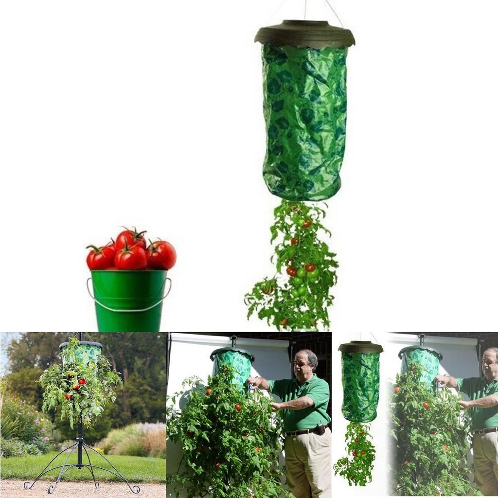 Sturdy Hanging Planter Bag For Tomatoes Strawberries Balcony And Home Gardening