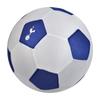 Tottenham Hotspur FC Mesh Football