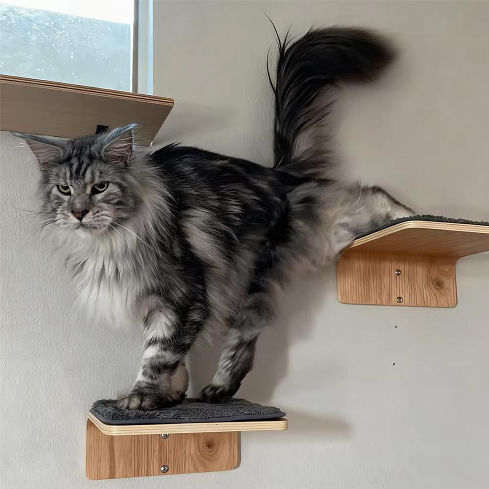 Wandmontiertes Katzenmöbel Kratzbaum Hängematte Versteckhaus Brücke Katzenkletterregale Katzen-Fitnessstudio Spielplatz Krallenpflege-Spielzeug