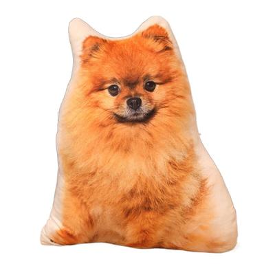 Pomeranian plyšák, velký, realistický, kočka, měkký, roztomilý, ultra-realistický, 3D, polštář na mazlení, roztomilý, žena, polštář, těhotenský polštář, roztomilý,