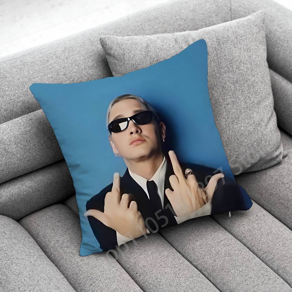 E-Eminem The Marshall Mathers LP STANS Throw Pillow Case For 30cm 40cm 45*45cm 50cm 55cm Square Sofa Pillowcase Shell