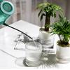 Automatic water absorbing lazy pot resin creative potted green ivy hydroponic plastic round flower pot   10cm PET+PP