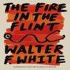 The Fire In the Flint by Walter F. White Paperback Book 9781454957447