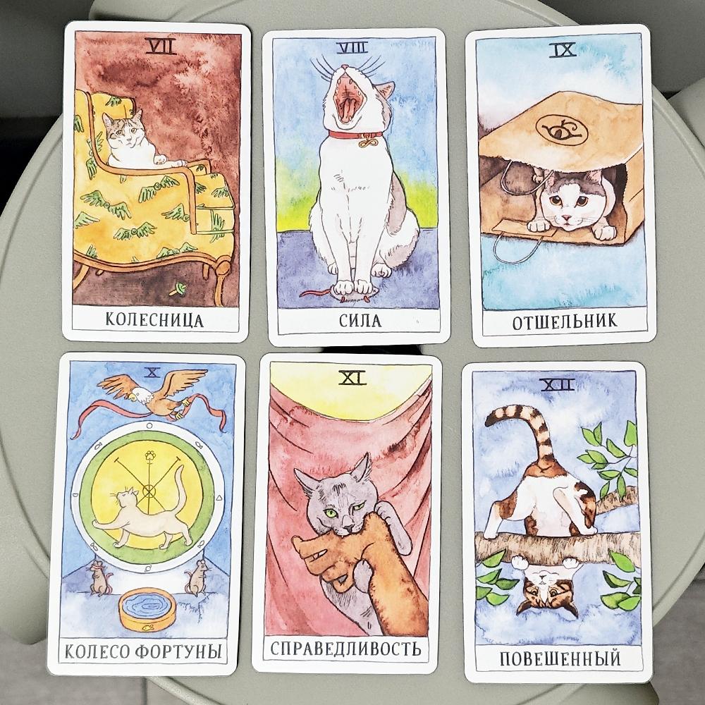 10,3*6 cm Kot Tarot Język rosyjski 78 sztuk Karty Tarota o tematyce kota łączą autentyczność z kocim poczuciem humoru