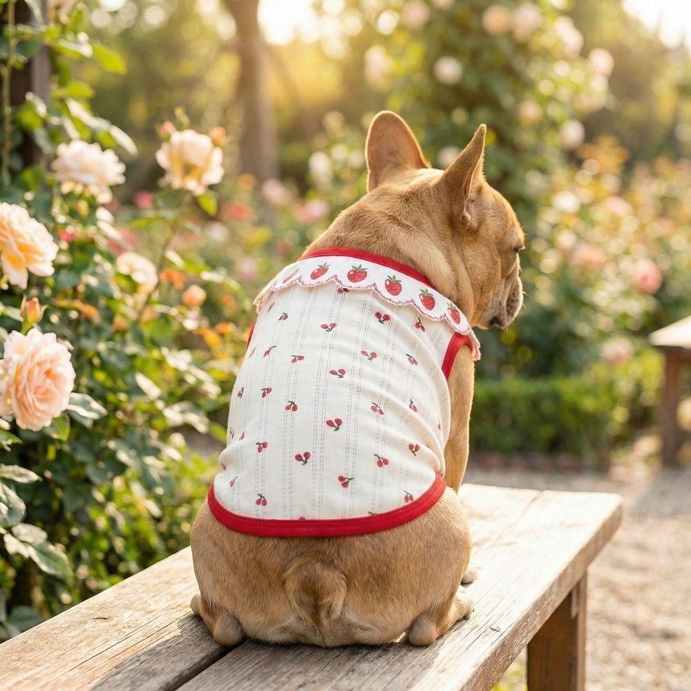 Cherry Pattern Cat Strawberry Vest Ruffled Collar Pet T-shirt Cat Lace Vest  Indoor Wear