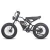 Electric Bicycle FAFREES F20 Ultra 20" 750W Motor Electric Bike Adult Top Speed 40Km/h 48V 25AH Range 140Km Load 180Kg