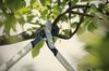 Fiskars Solid Multifunctional Serrated Scissors for Wire and String