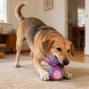 Yousheng Latex Tier Hundespielzeug Quietschend Interaktives Welpen Kauspielzeug Hundezahnpflege Spielzeug für Welpen Zahnen Langeweile Linderung