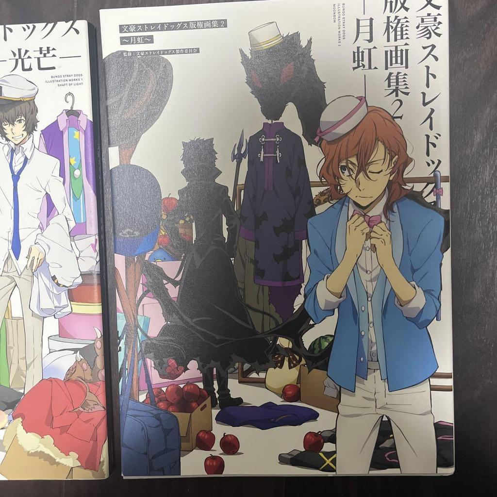 [USED] Bungo Stray Dogs Art Book