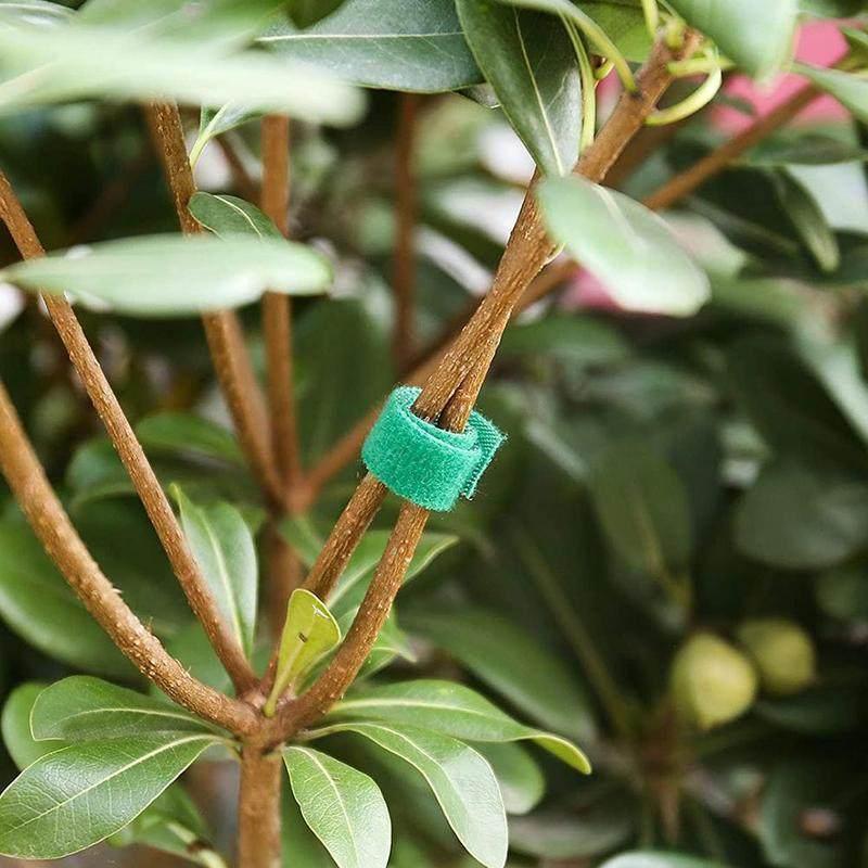 Self Adhesive Nylon Plant Ties Adjustable Plants Hook Plant Support Reusable Fastener Tape Garden Twine Bandage Fastener Tapes