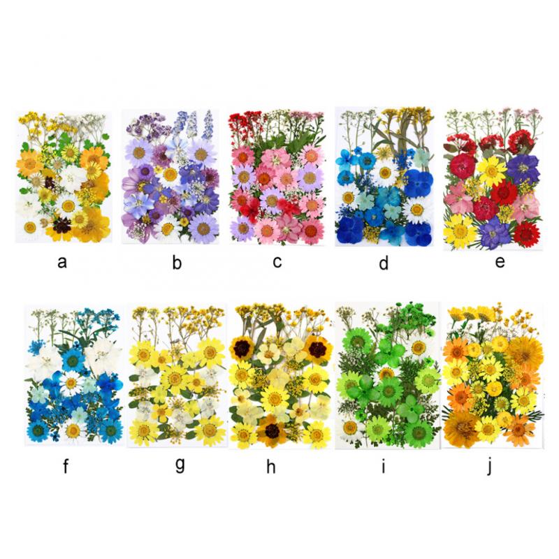 Trockenpflanzen Aufkleber, Echte Blumen Aufkleber, Gepresste