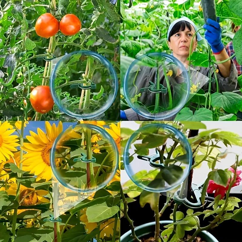 20ps Plant Fixed Clips Reusable Garden Greenhouse Bracket Garden Plants Vine Climbing Clamp Flower Tomato Support Fastener