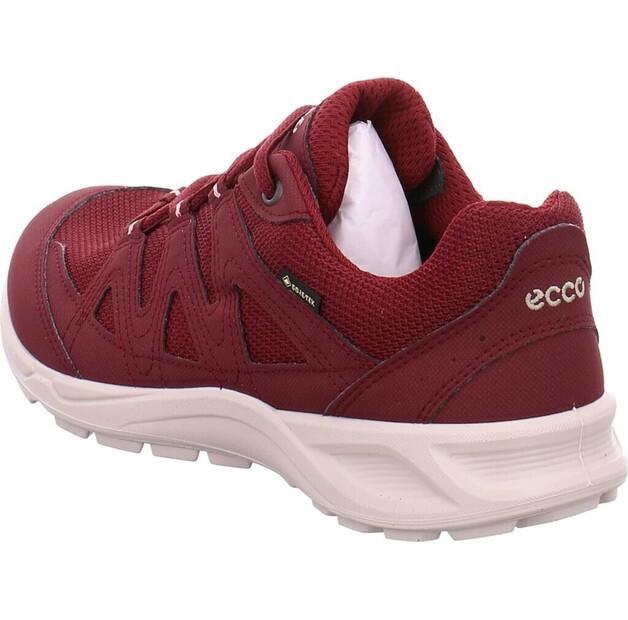 Полуботинки Ecco Terracruise LT GTX