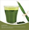 250g Organic PURE Barley Grass Powder Grade- Popular Organic Barley Grass Powder