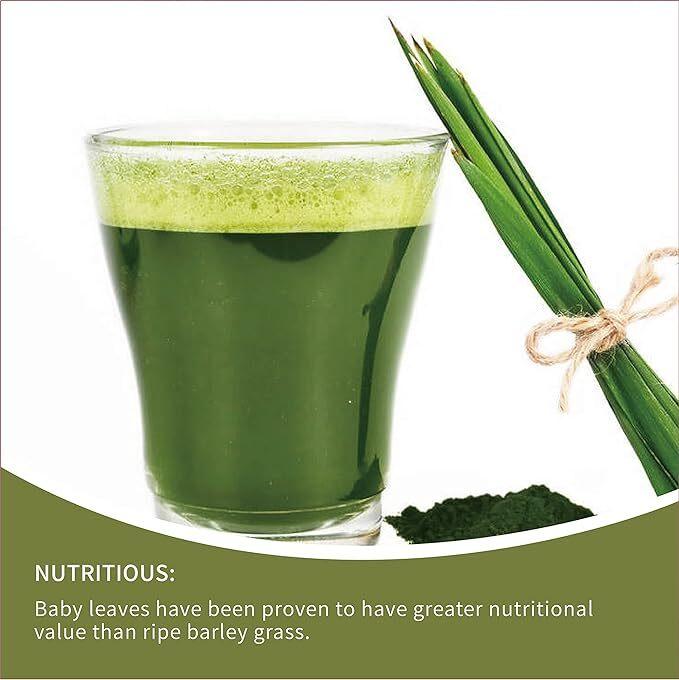 250g Organic PURE Barley Grass Powder Grade- Popular Organic Barley Grass Powder