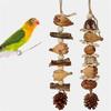 Vogelspielzeug Papagei Kauspielzeug Vogelkäfig Reißspielzeug Kleiner Mittlerer Vogelkäfig Kiefernzapfen Vogelstange für Conure Nymphensittiche