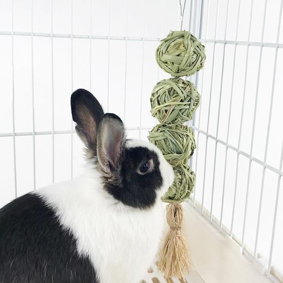 Rabbit Chew Toy Rich Fiber Teeth Grinding Playing Hamster Chewing Grass Snack Small Animals Supplies